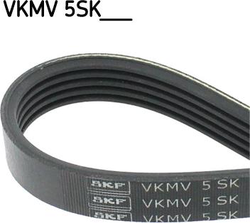 SKF VKMV 5SK868 - V formos rumbuoti diržai xparts.lv