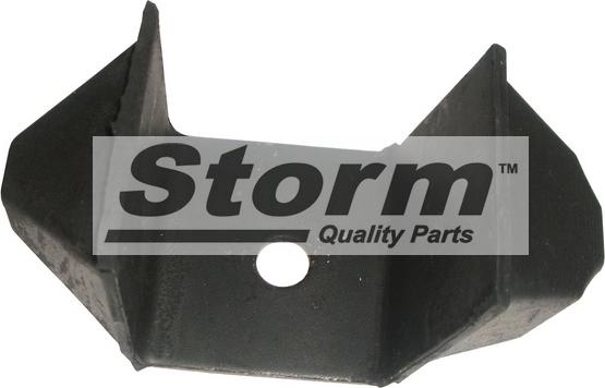 Storm F1900 - Piekare, Dzinējs xparts.lv