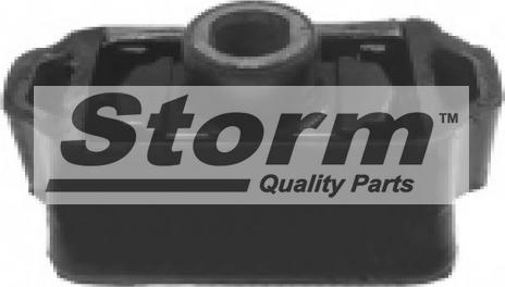 Storm F1667 - Piekare, Dzinējs xparts.lv