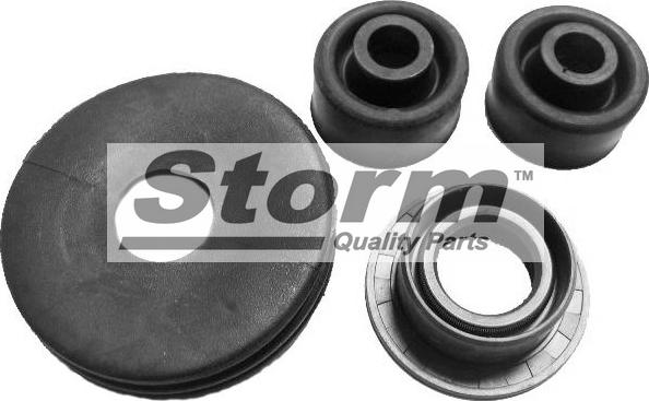 Storm F1104 - Shaft Seal, manual transmission xparts.lv