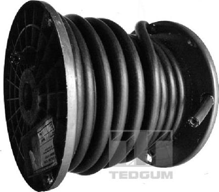 Tedgum 00816680 - Топливный шланг xparts.lv