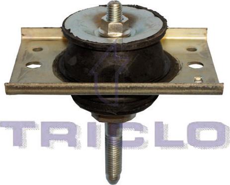 Triclo 365417 - Piekare, Dzinējs xparts.lv