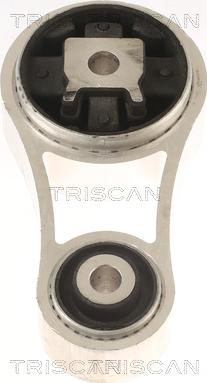 Triscan 8505 10106 - Piekare, Dzinējs xparts.lv