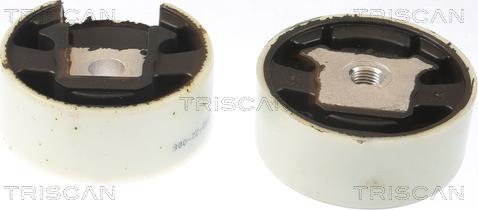 Triscan 8505 29188 - Holder, engine mounting xparts.lv