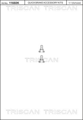 Triscan 8105 116001 - Varžtų komplektas, stabdžių diskas xparts.lv