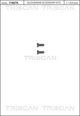 Triscan 8105 116008 - Skrūvju komplekts, Bremžu disks xparts.lv