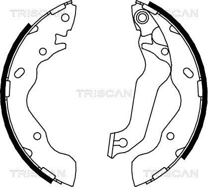 Triscan 8100 43013 - Комплект тормозных колодок, барабанные xparts.lv
