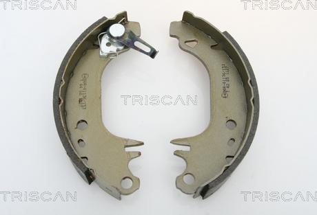 Triscan 8100 10006 - Bremžu loku komplekts xparts.lv