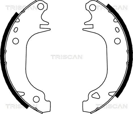 Triscan 8100 10372 - Bremžu loku komplekts xparts.lv