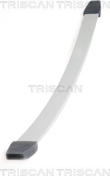 Triscan 8765 10003 - Lāgu atsperes lokšņu komplekts xparts.lv