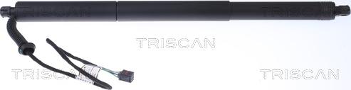 Triscan 8710 29302 - Газовая пружина, упор xparts.lv