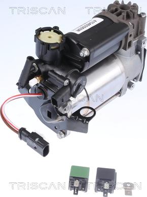 Triscan 8725 23101 - Compressor, compressed air system xparts.lv