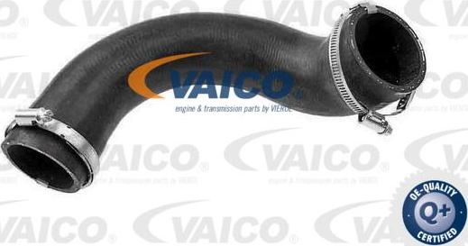 VAICO V95-0354 - Pūtes sistēmas gaisa caurule xparts.lv