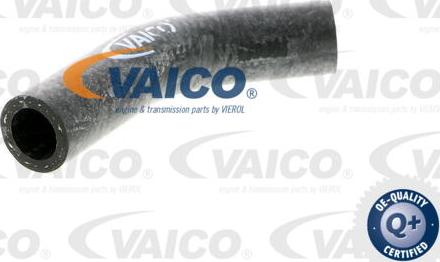VAICO V40-0367 - Radiatora cauruļvads xparts.lv