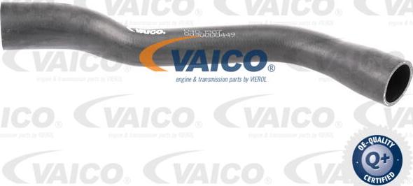 VAICO V40-1987 - Шланг для удаление воздуха, топливный бак xparts.lv