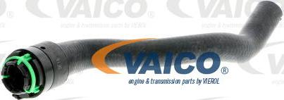 VAICO V40-1767 - Radiatora cauruļvads xparts.lv