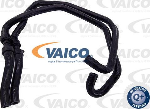 VAICO V40-2135 - Radiatora cauruļvads xparts.lv
