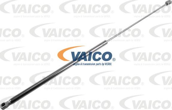 VAICO V10-4699 - Gāzes atspere, Bagāžas / Kravas nodalījuma vāks xparts.lv
