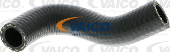 VAICO V10-4335 - Hidrauliskā šļūtene, Stūres iekārta xparts.lv