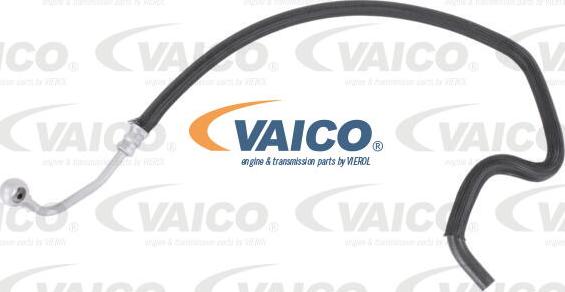VAICO V10-6989 - Hidraulinė žarna, vairo sistema xparts.lv