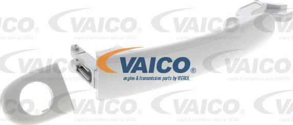 VAICO V10-6161 - Durų rankenėlė xparts.lv