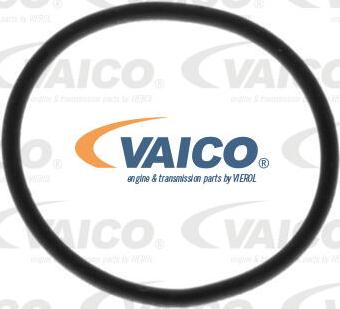 VAICO V10-0806 - Degvielas sūknis xparts.lv