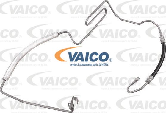 VAICO V10-1134 - Hidrauliskā šļūtene, Stūres iekārta xparts.lv