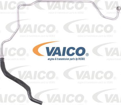 VAICO V10-1748 - Гидравлический шланг, рулевое управление xparts.lv