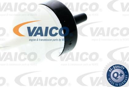 VAICO V10-3562 - Slėgio padidinimo valdymo vožtuvas xparts.lv