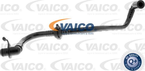 VAICO V10-3645 - Vakuuma šļūtene, Bremžu sistēma xparts.lv
