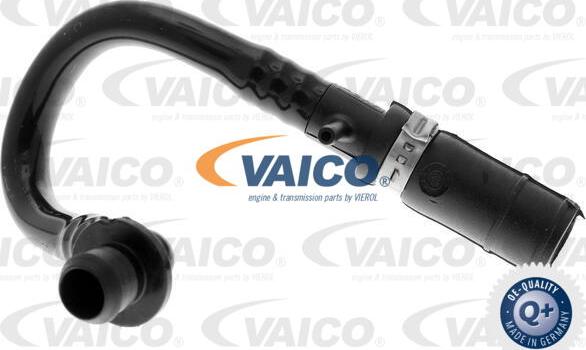 VAICO V10-3640 - Vakuuma šļūtene, Bremžu sistēma xparts.lv