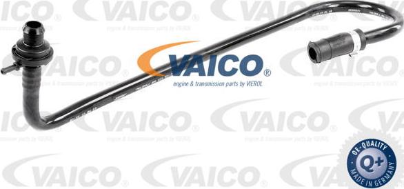 VAICO V10-3648 - Vakuuma šļūtene, Bremžu sistēma xparts.lv