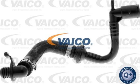 VAICO V10-3642 - Vakuuma šļūtene, Bremžu sistēma xparts.lv