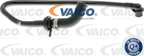 VAICO V10-3650 - Vakuuma šļūtene, Bremžu sistēma xparts.lv