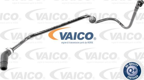 VAICO V10-3606 - Vakuuma šļūtene, Bremžu sistēma xparts.lv