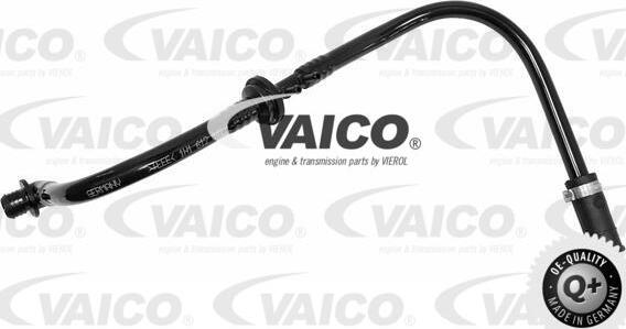 VAICO V10-3600 - Vakuuma šļūtene, Bremžu sistēma xparts.lv