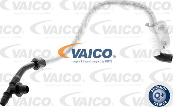 VAICO V10-3616 - Vakuuma šļūtene, Bremžu sistēma xparts.lv