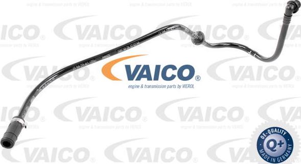 VAICO V10-3613 - Vakuuma šļūtene, Bremžu sistēma xparts.lv