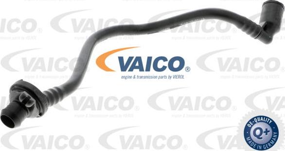 VAICO V10-3635 - Vakuuma šļūtene, Bremžu sistēma xparts.lv