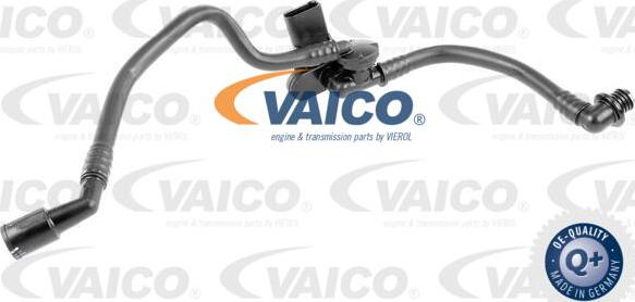 VAICO V10-3629 - Vakuuma šļūtene, Bremžu sistēma xparts.lv