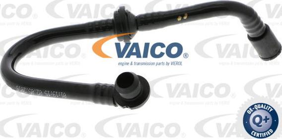 VAICO V10-3620 - Vakuuma šļūtene, Bremžu sistēma xparts.lv