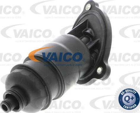VAICO V10-3021 - Hidrofiltrs, Automātiskā pārnesumkārba xparts.lv
