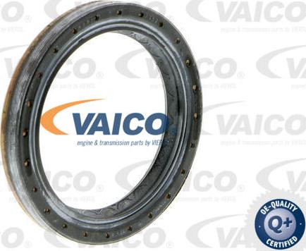 VAICO V10-3331 - Vārpstas blīvgredzens, Diferenciālis xparts.lv