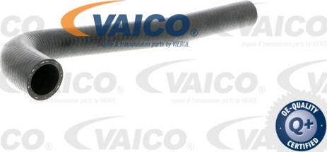 VAICO V10-3203 - Radiatora cauruļvads xparts.lv
