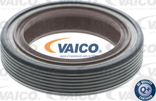 VAICO V10-3274 - Уплотняющее кольцо, коленчатый вал xparts.lv