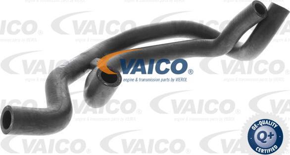 VAICO V10-2821 - Radiatora cauruļvads xparts.lv