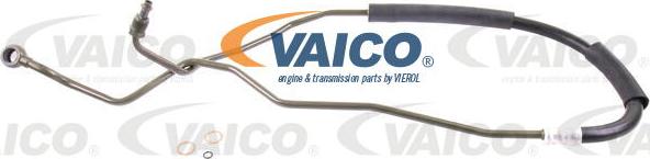 VAICO V10-2305 - Hidrauliskā šļūtene, Stūres iekārta xparts.lv