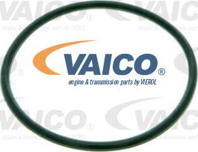 VAICO V10-2287 - Hidrofiltrs, Automātiskā pārnesumkārba xparts.lv