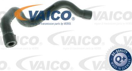 VAICO V30-0864 - Šļūtene, Kartera ventilācija xparts.lv