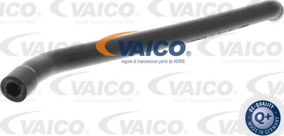 VAICO V30-0862 - Hose, crankcase breather xparts.lv